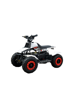 ATV electric RDB FXATV-ESZ motor 500W electric viteza 25 km/h pentru copii