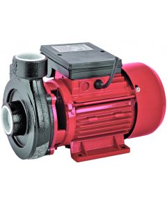 Pompa suprafata Raider RD-1.5DK20 putere 750 W presiune 2 bar debit 12.6 mc/h inaltimea refulare 20 m
